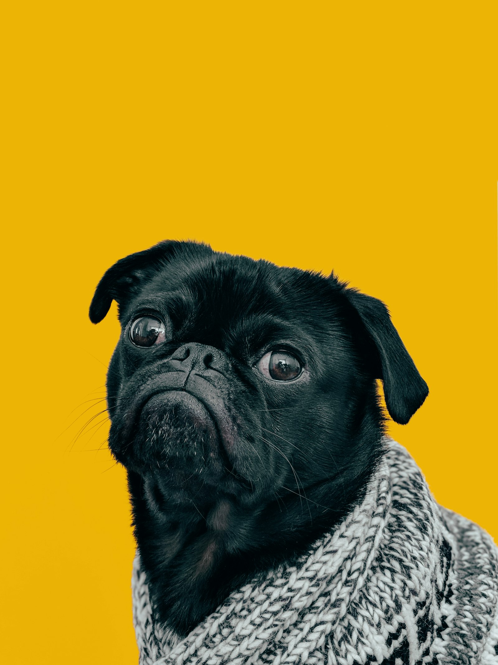 Mini Groom